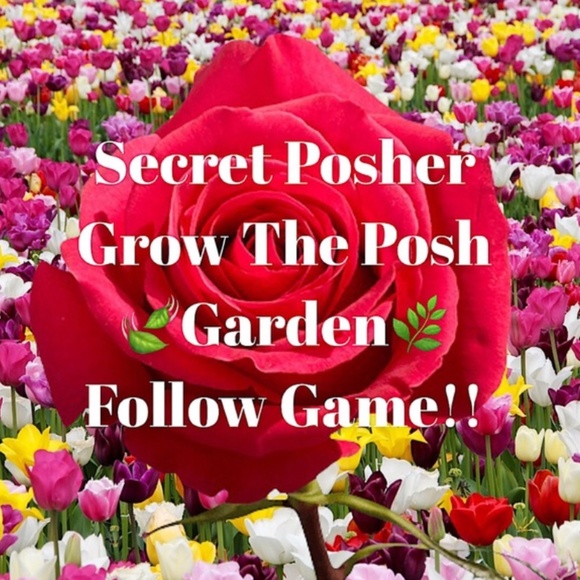 I’m Orchid 5/5-6 🥰 - Picture 5 of 5